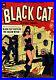 Black-Cat-Comics-29-Golden-Age-Harvey-8-5-01-jd