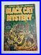 Black-Cat-Mystery-39-Harvey-Comics-1952-Golden-Age-Pre-Code-Horror-Witch-Cover-01-ulet