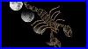 Eclipse-Tarotscope-Full-Moon-In-Scorpio-Phoenix-01-hqks