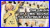 Vulgar-In-Design-And-Tawdry-In-Color-The-Origin-Of-Comic-Books-In-The-Platinum-Age-01-drds