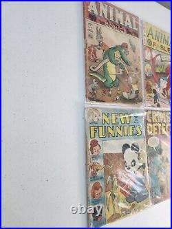 Walt Disney & Comics Golden Age Lot Of 10 Comic Books Collectibles